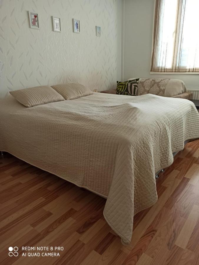 Apartment In Centrum Of Rovaniemi, Lakeview, Aurora Borealis View From Apartment Terrace And Mountain View ภายนอก รูปภาพ